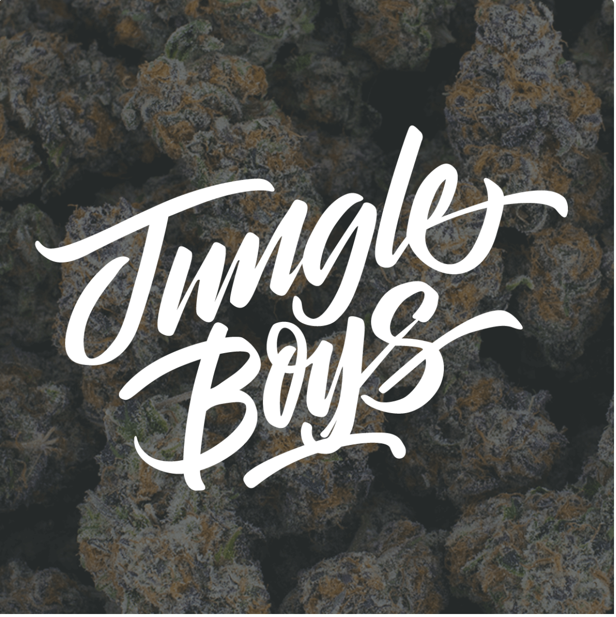 Jungle Boys Logo